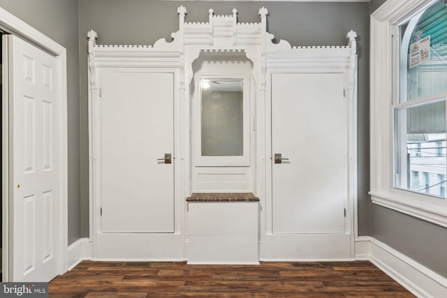 foyer entrance featuring dark hardwood / wood-style floors