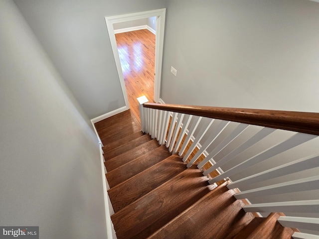 staircase with wood-type flooring