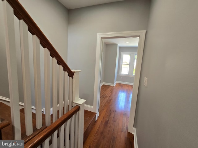 hall featuring dark wood-type flooring