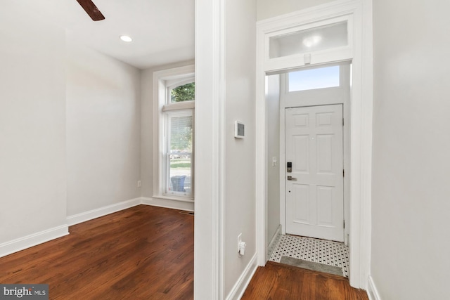 entrance foyer with dark wood-type flooring