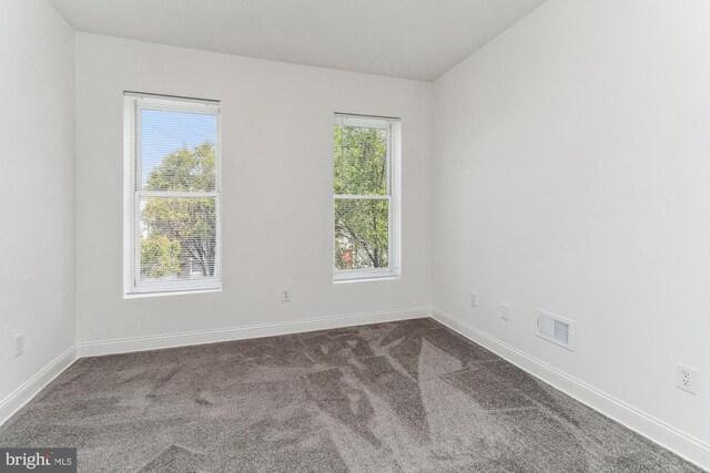 spare room with plenty of natural light and carpet floors