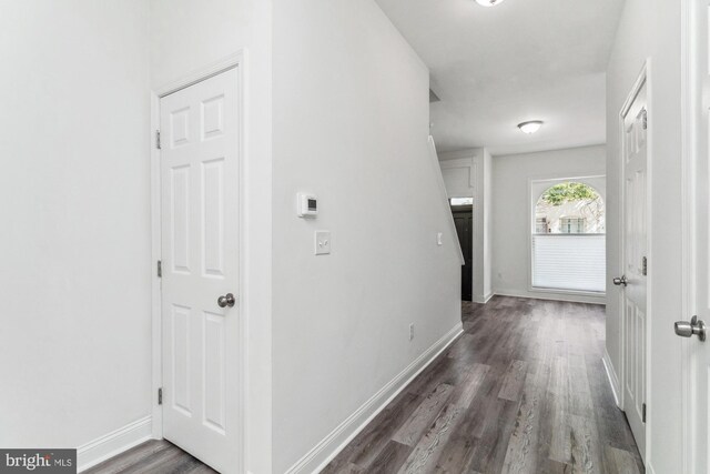 hallway featuring dark hardwood / wood-style floors