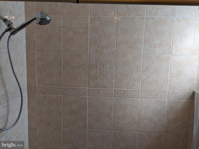 interior details with tiled shower