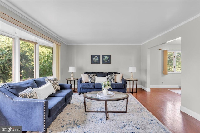 living room featuring ornamental molding and dark hardwood / wood-style floors