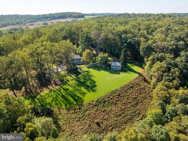 bird's eye view