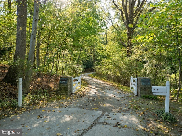 view of road