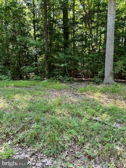 LOT14 Cod Creek Dr, Heathsville VA, 22473 land for sale