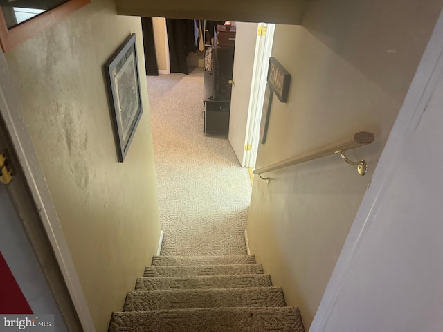 staircase with carpet floors