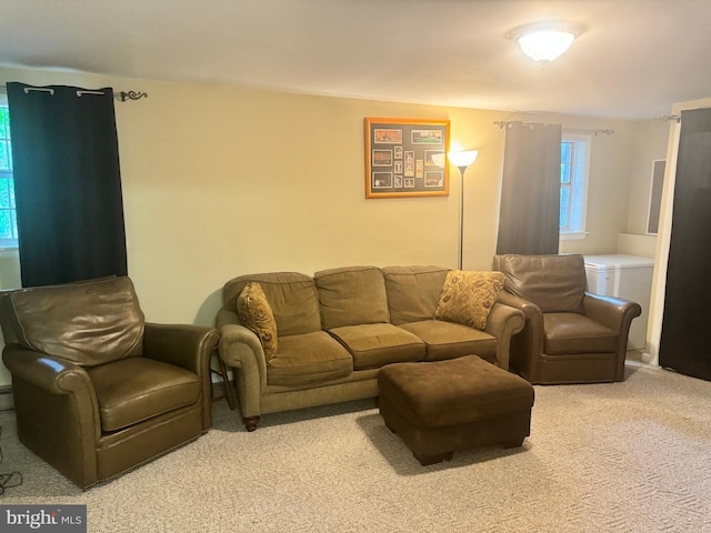 living room featuring carpet