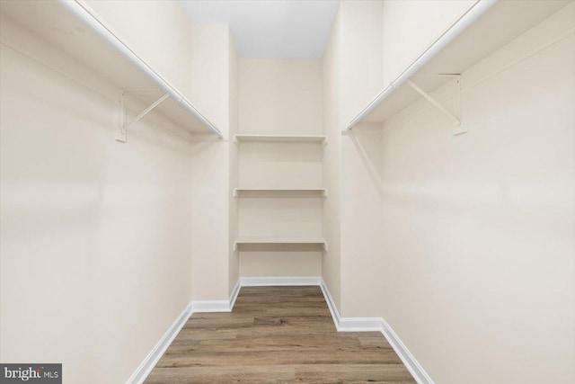 spacious closet with wood-type flooring