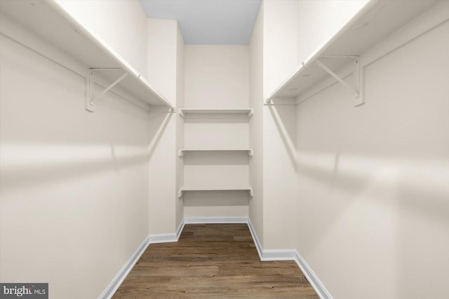 spacious closet featuring wood finished floors