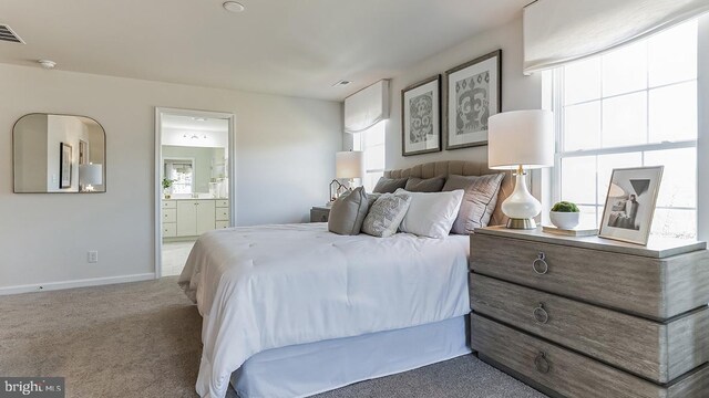 bedroom with carpet flooring, connected bathroom, and multiple windows