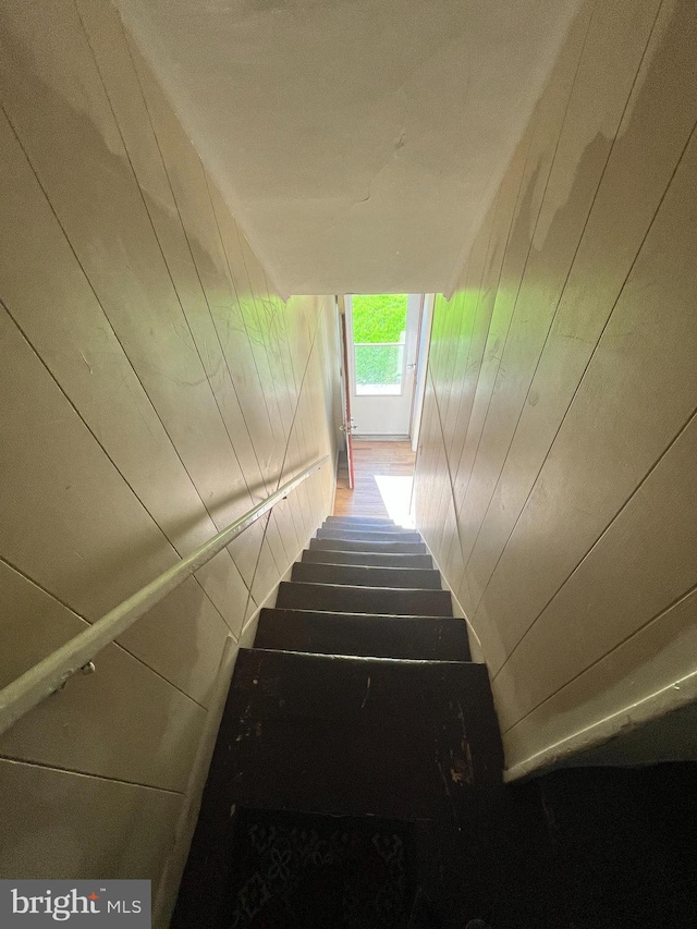 staircase featuring wood walls