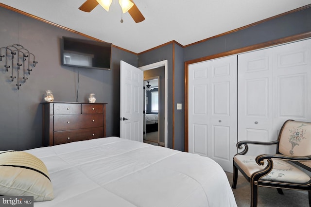 bedroom featuring ornamental molding, a closet, ceiling fan, and carpet floors