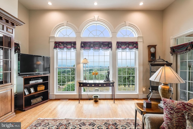 interior space featuring plenty of natural light and light hardwood / wood-style flooring