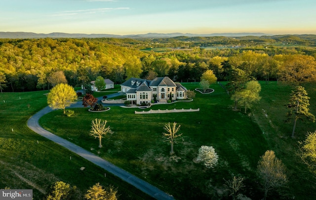 bird's eye view with a view of trees and a mountain view