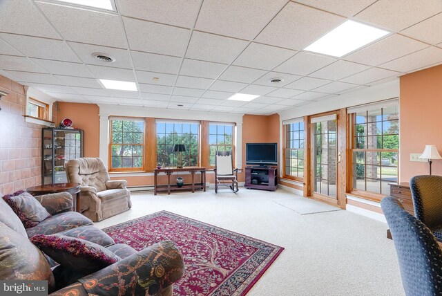 carpeted living room featuring a drop ceiling