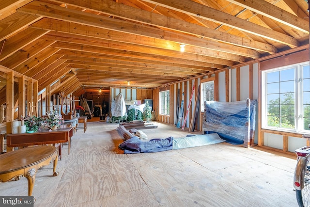 miscellaneous room featuring lofted ceiling