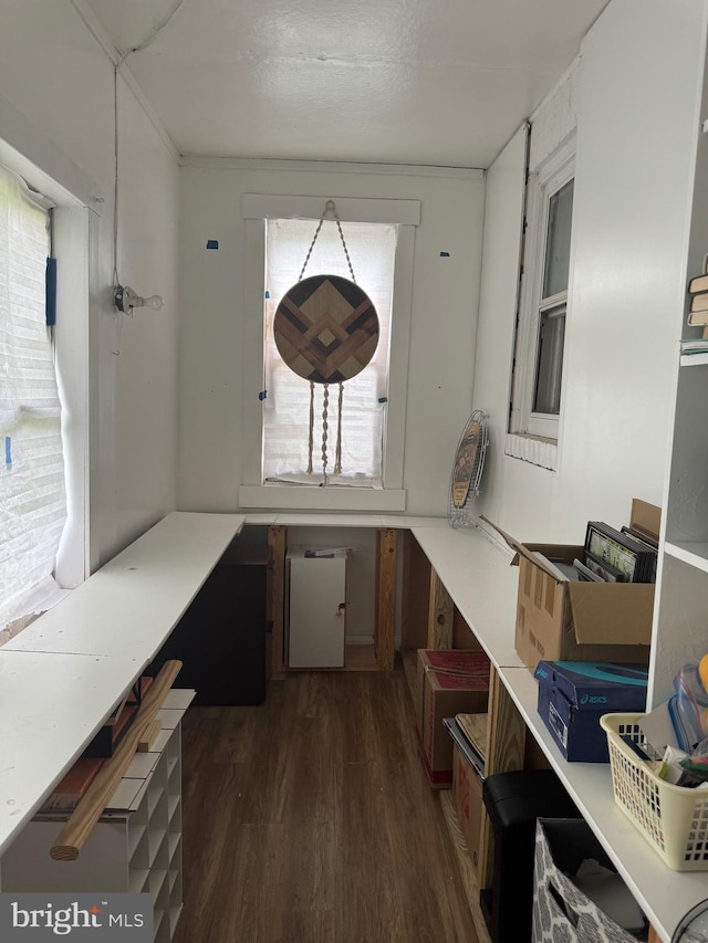 home office featuring plenty of natural light and dark hardwood / wood-style flooring