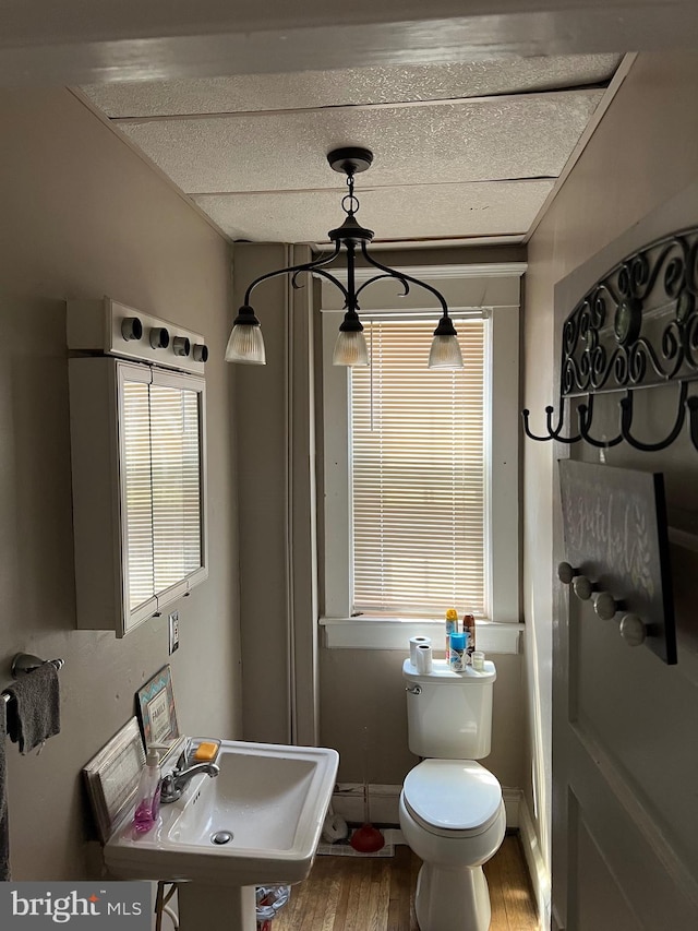 bathroom with sink, hardwood / wood-style floors, and toilet