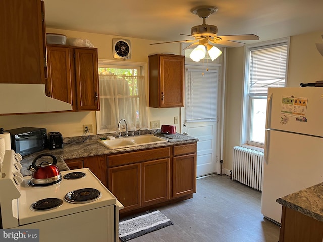 kitchen with radiator, white appliances, ceiling fan, a healthy amount of sunlight, and sink