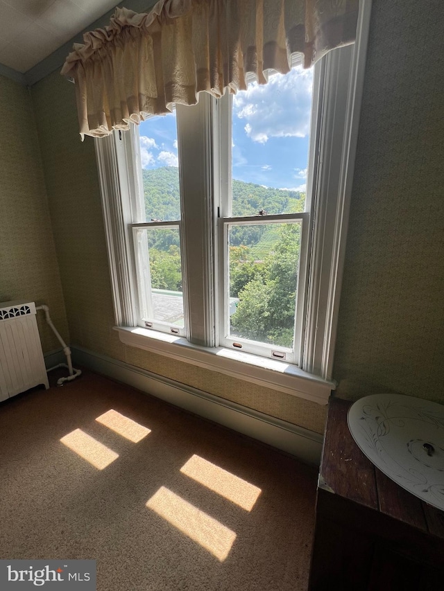 interior space featuring radiator and sink