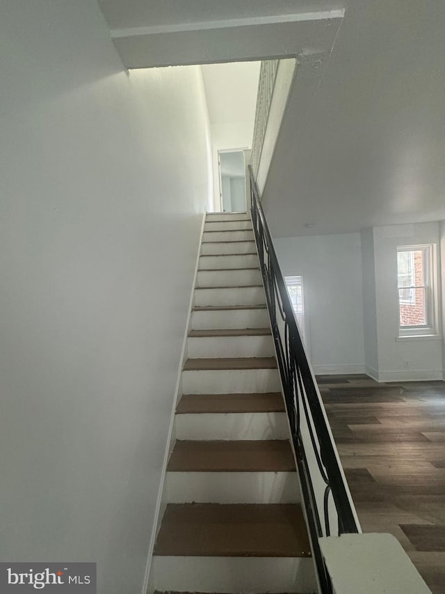 staircase with wood-type flooring