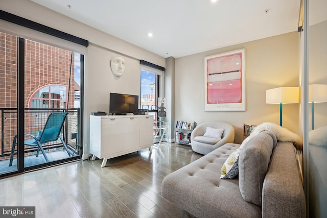 living room with hardwood / wood-style floors