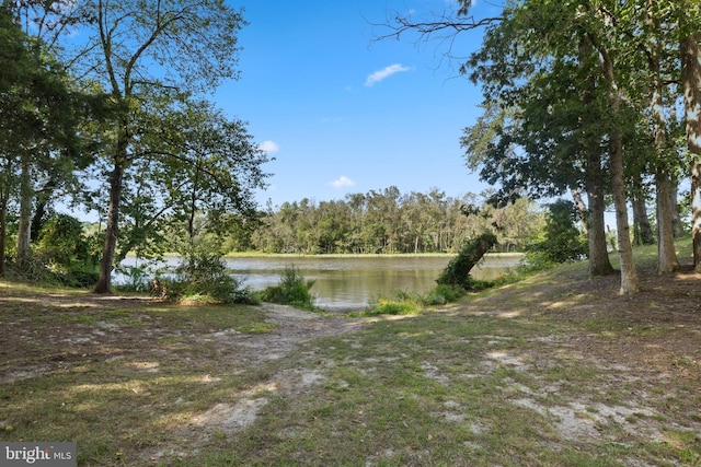 view of water feature with a wooded view