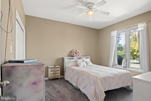 bedroom with dark carpet, ceiling fan, a closet, and multiple windows