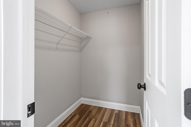 spacious closet with dark hardwood / wood-style flooring