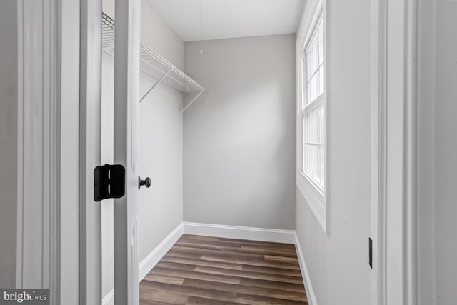 spacious closet featuring dark hardwood / wood-style flooring