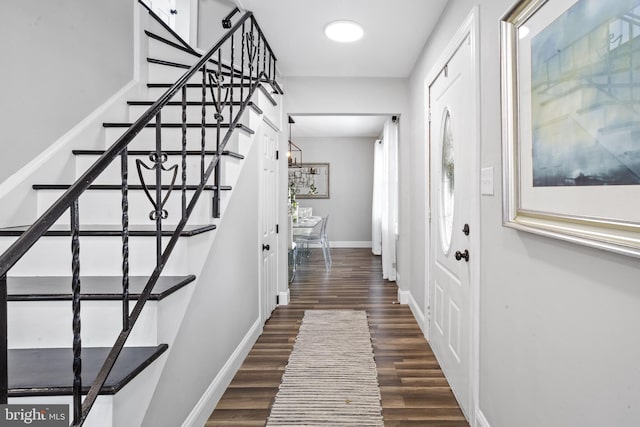 foyer entrance featuring dark wood-type flooring