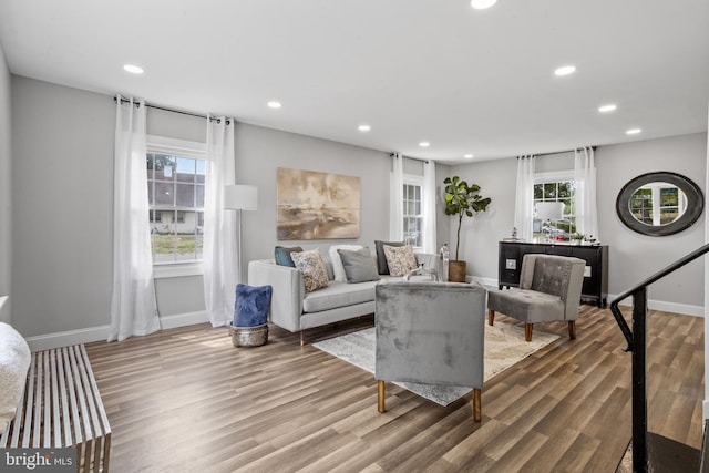 living room featuring hardwood / wood-style floors