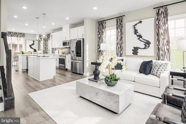 living room featuring light hardwood / wood-style flooring and a healthy amount of sunlight