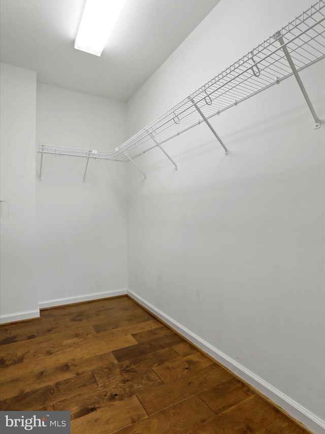 walk in closet featuring dark wood-type flooring