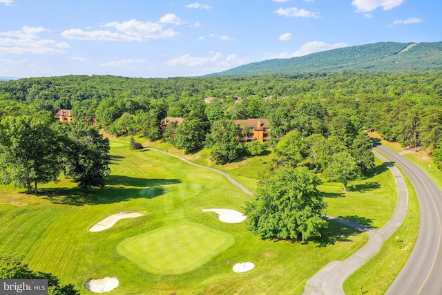 birds eye view of property featuring a mountain view