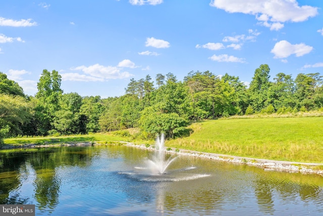 view of water feature