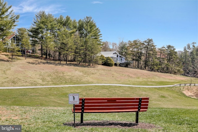 view of home's community featuring a yard