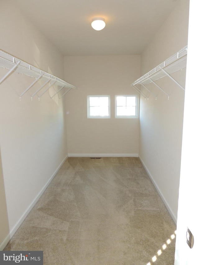 walk in closet featuring carpet flooring