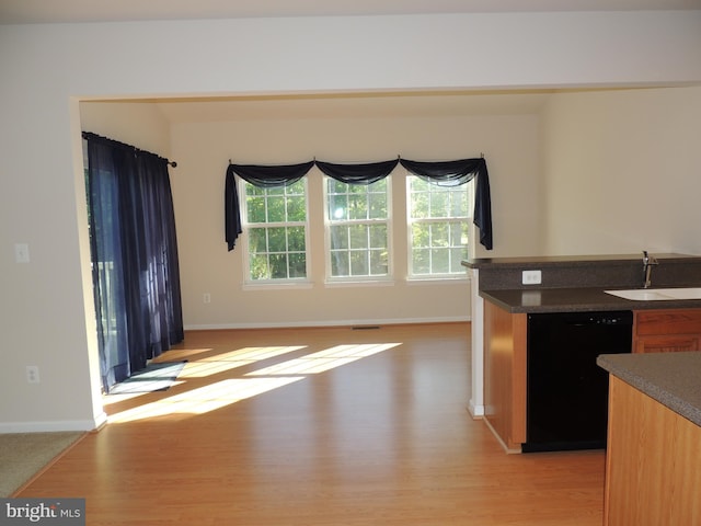 kitchen with dishwasher, sink, and light hardwood / wood-style flooring