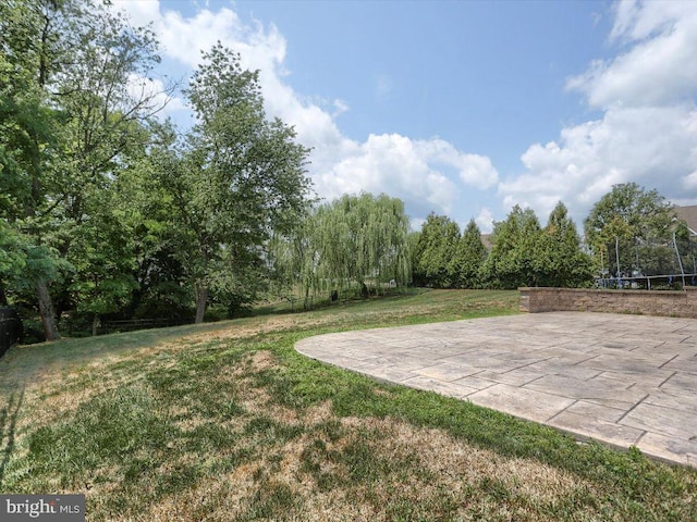 view of yard with a patio