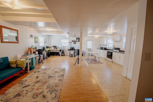 living room with light hardwood / wood-style floors