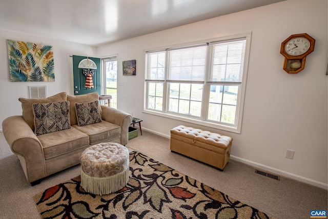 living room with carpet floors