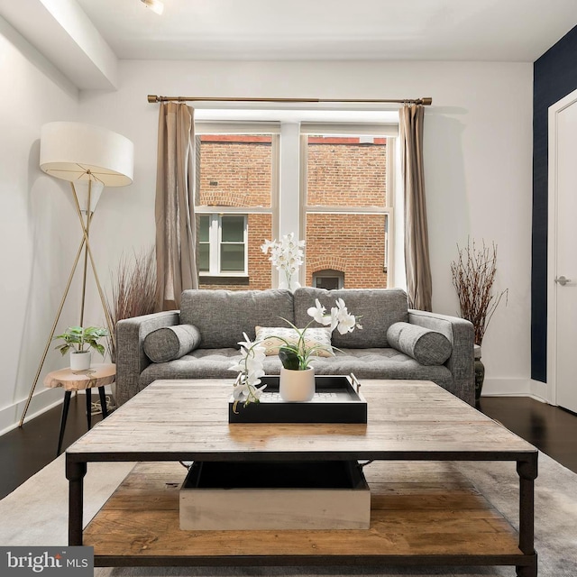 living room featuring hardwood / wood-style floors