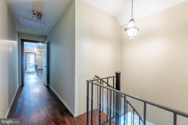 hallway featuring dark wood-type flooring