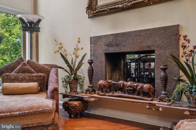 details featuring a fireplace and wood finished floors