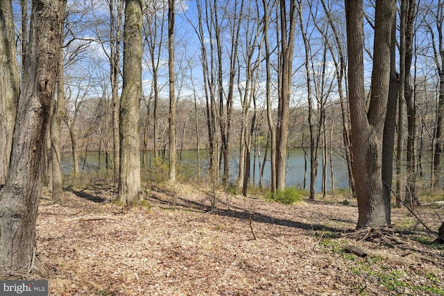 water view featuring a forest view