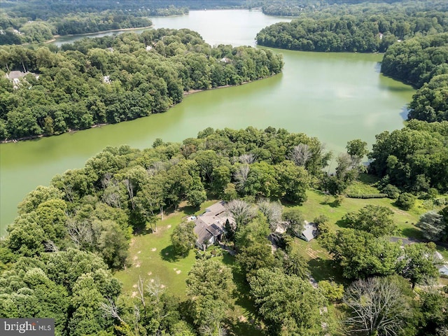 bird's eye view with a water view and a view of trees