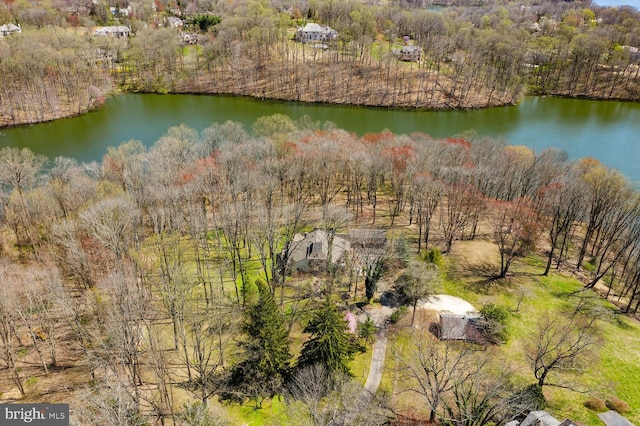 birds eye view of property with a water view and a view of trees